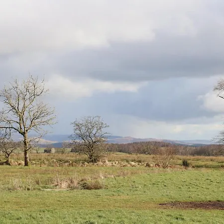 Austwick *