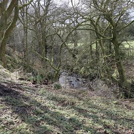 Austwick